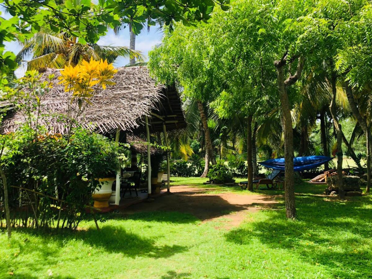 Lake View Cabana Paradise & Villa Tangalle Exteriör bild