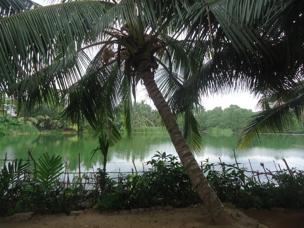 Lake View Cabana Paradise & Villa Tangalle Exteriör bild